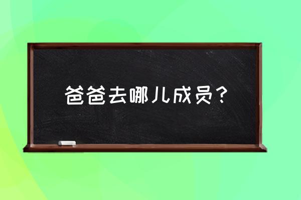 宣城爸爸去哪儿 爸爸去哪儿成员？