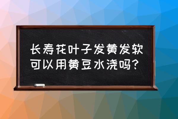 泡黄豆的水可以是氮肥吗 长寿花叶子发黄发软可以用黄豆水浇吗？