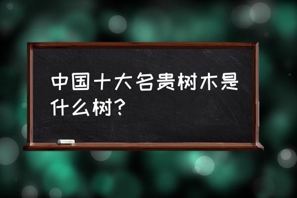 我们中国最值钱的木头是什么木 中国十大名贵树木是什么树？