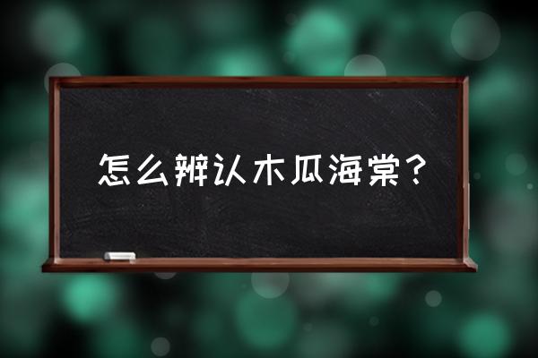 木瓜海棠开的什么花色 怎么辨认木瓜海棠？