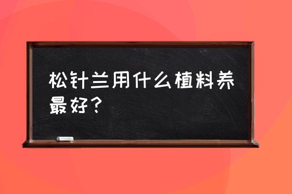 松树皮加松针养兰花效果会怎样 松针兰用什么植料养最好？