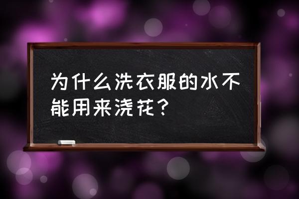 多肉浇了洗衣液水会怎样 为什么洗衣服的水不能用来浇花？