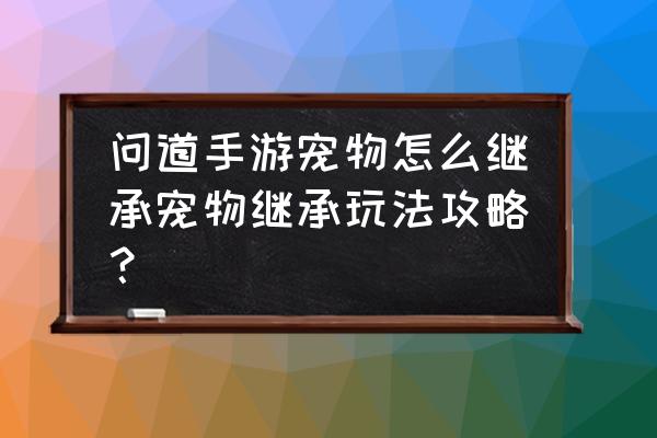 问道网游宠物等级继承在哪里 问道手游宠物怎么继承宠物继承玩法攻略？