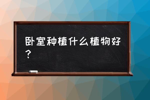 卧室里养什么盆栽好 卧室种植什么植物好？