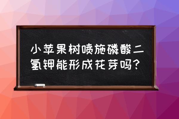 苹果树花第一次能喷叶面肥吗 小苹果树喷施磷酸二氢钾能形成花芽吗？