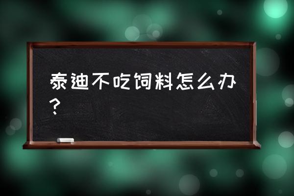 宠物狗不想吃饲料怎么办 泰迪不吃饲料怎么办？