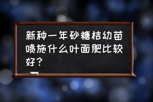 一年沙糖桔用什么叶面肥 新种一年砂糖桔幼苗喷施什么叶面肥比较好？