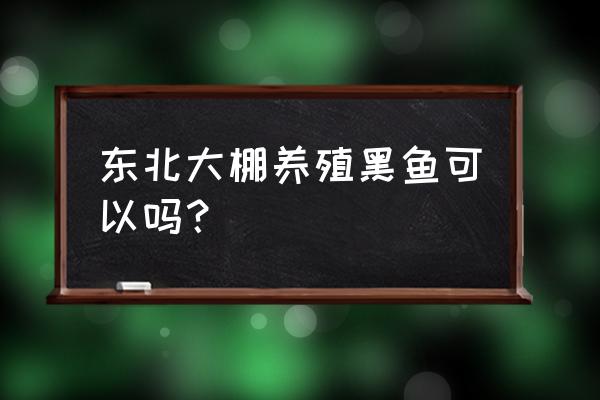 吉林省有养殖黑鱼基地吗 东北大棚养殖黑鱼可以吗？