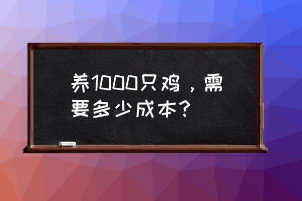 1000只散养鸡成本多少 养1000只鸡，需要多少成本？