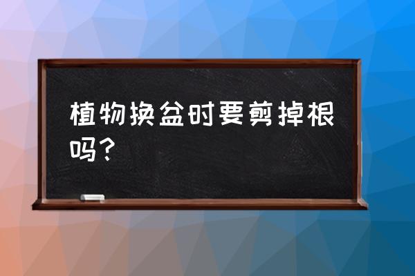 盆栽换盆要不要梳理根 植物换盆时要剪掉根吗？