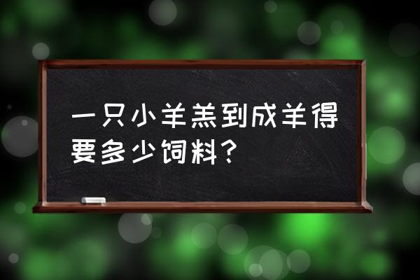 一只羊到出栏需要多少饲料 一只小羊羔到成羊得要多少饲料？