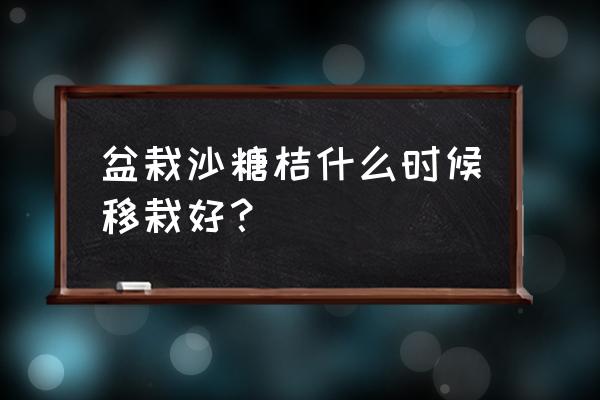 沙糖桔苗木什么季节移栽好 盆栽沙糖桔什么时候移栽好？