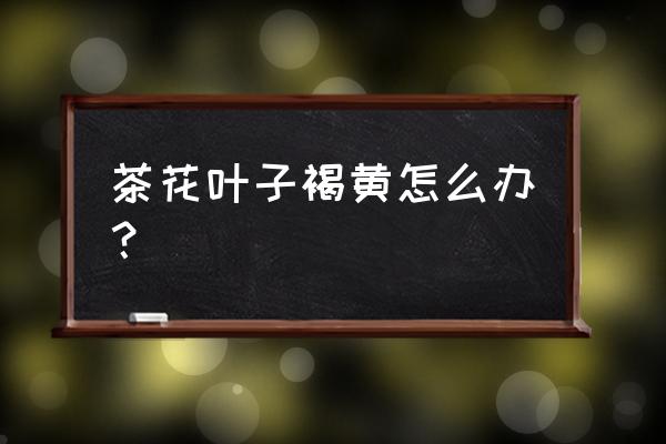 山茶花叶子变黄怎么办 茶花叶子褐黄怎么办？