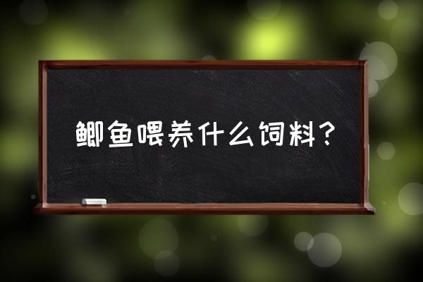 养殖工程鲫鱼喂啥饲料 鲫鱼喂养什么饲料？