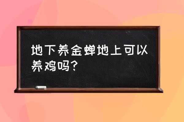 桃树下养了金蝉还可以养鸡吗 地下养金蝉地上可以养鸡吗？