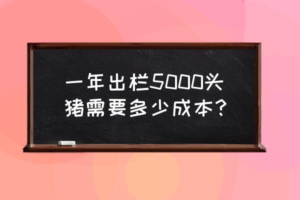 办个5000头养猪场的多少资金 一年出栏5000头猪需要多少成本？