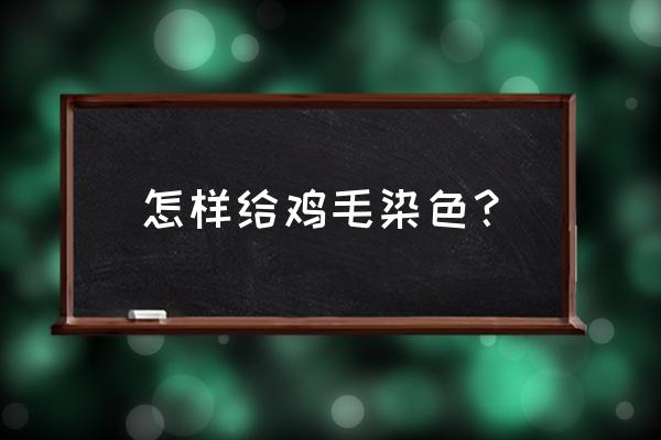 活体鸟羽毛能染色吗 怎样给鸡毛染色？