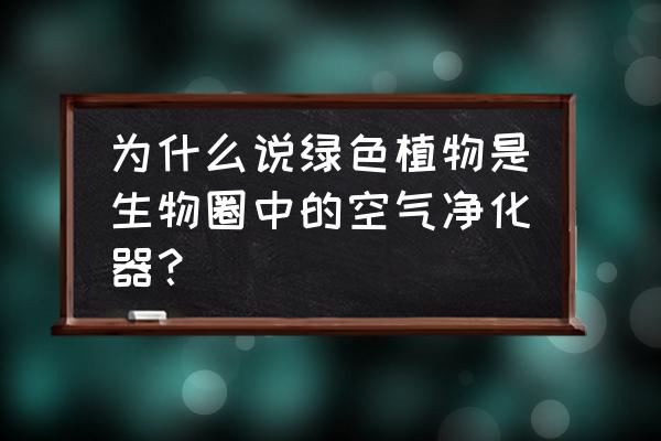 绿色植物可以净化空气吗 为什么说绿色植物是生物圈中的空气净化器？