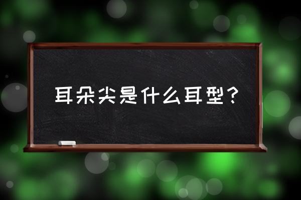 耳朵尖代表身体哪个部位 耳朵尖是什么耳型？