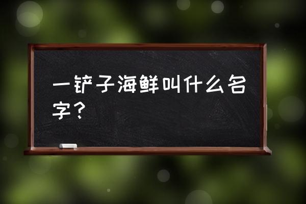 网红铁锹海鲜叫什么名字 一铲子海鲜叫什么名字？