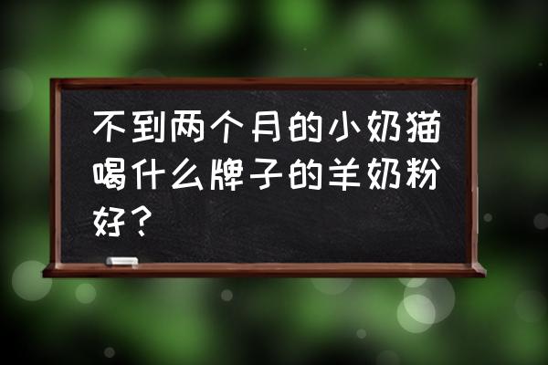 小猫奶粉哪个牌子好 不到两个月的小奶猫喝什么牌子的羊奶粉好？