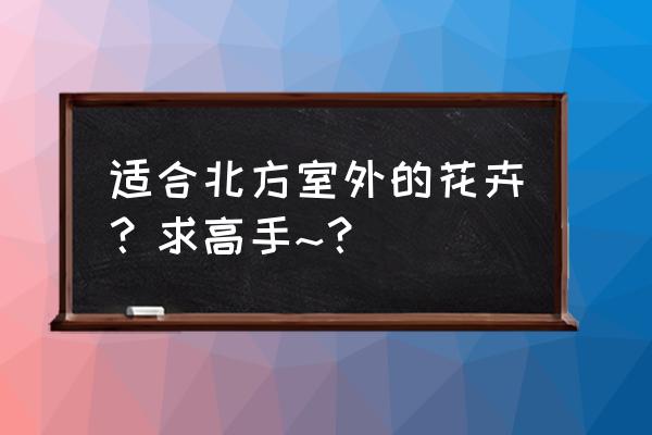 适合北方室外的花卉都有哪些 适合北方室外的花卉？求高手~？