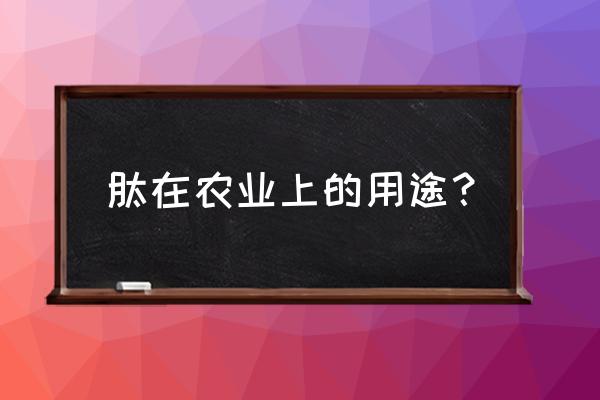 多肽叶面肥有什么功 肽在农业上的用途？