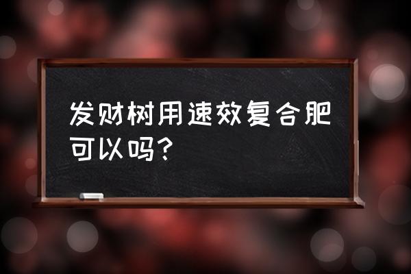 复合肥可以施发财树吗 发财树用速效复合肥可以吗？