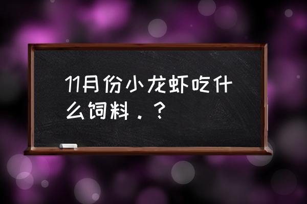 龙虾饲料什么时候投放 11月份小龙虾吃什么饲料。？