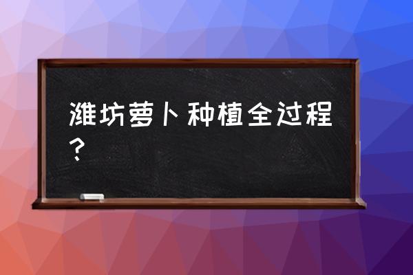 萝卜种植技术浇水方法 潍坊萝卜种植全过程？