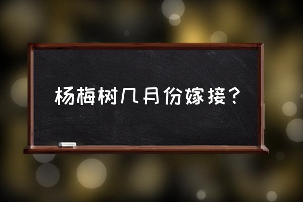 杨梅树几月份怎么种植成活率高 杨梅树几月份嫁接？