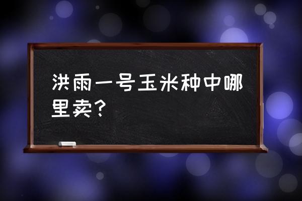 如何运营玉米种子公司公众号 洪雨一号玉米种中哪里卖？