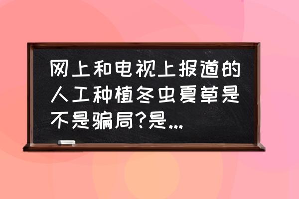 人工培育冬虫夏草和天然的区别 网上和电视上报道的人工种植冬虫夏草是不是骗局?是不是真的利润高？