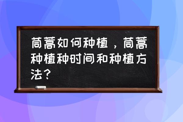 种茼蒿的方法和步骤 茼蒿如何种植，茼蒿种植种时间和种植方法？