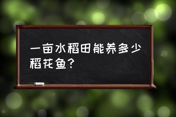 一亩可放多少泥鳅苗 一亩水稻田能养多少稻花鱼？