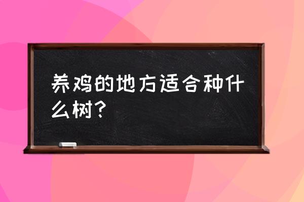 林地怎么养鸡最好 养鸡的地方适合种什么树？