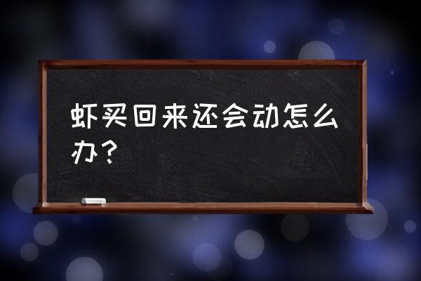 市场上卖虾的要怎么养 虾买回来还会动怎么办？