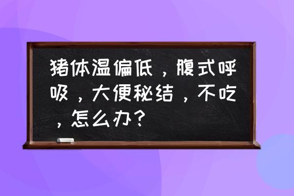 便秘严重使劲解大便后体温上升 猪体温偏低，腹式呼吸，大便秘结，不吃，怎么办？