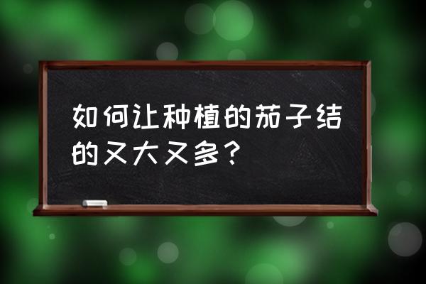 怎样种葱能长得又粗又壮 如何让种植的茄子结的又大又多？