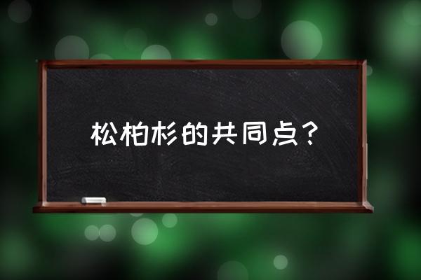 杉类居家植物名称大全 松柏杉的共同点？