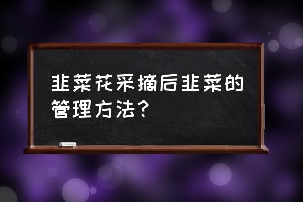 韭菜的管理方法 韭菜花采摘后韭菜的管理方法？