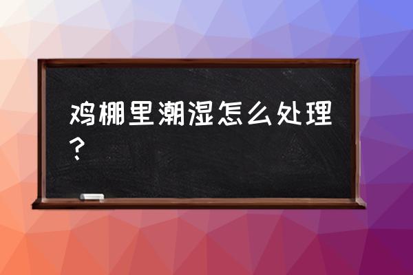 判断鸡群健康的方法 鸡棚里潮湿怎么处理？