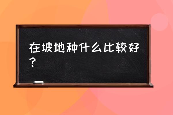 山区适合种植什么中药材最好 在坡地种什么比较好？