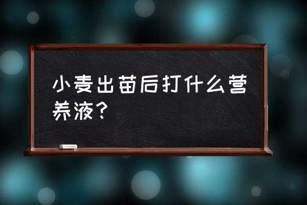 小麦返青施什么肥最好 小麦出苗后打什么营养液？