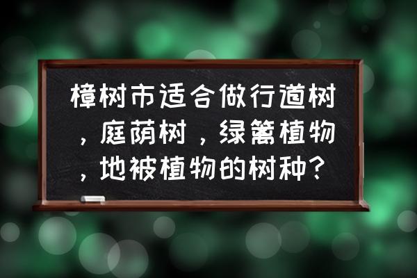 四季常青树适合北方种植吗 樟树市适合做行道树，庭荫树，绿篱植物，地被植物的树种？