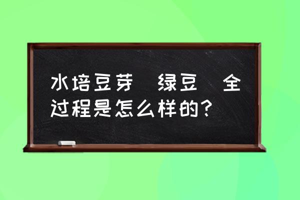 水培各种豆苗的方法 水培豆芽(绿豆)全过程是怎么样的？