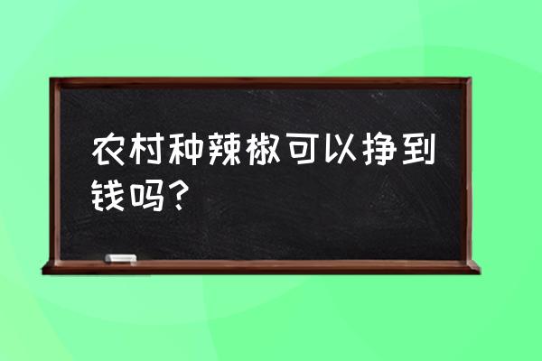 种辣椒最好的方法是怎样种的 农村种辣椒可以挣到钱吗？