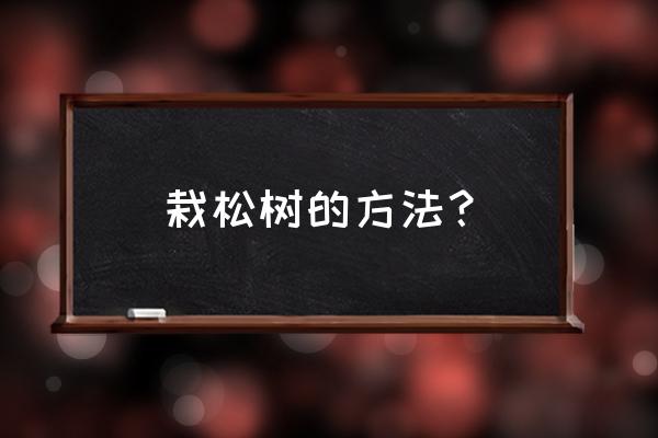 松树移栽生根最快方法 栽松树的方法？