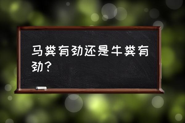 马儿吃什么草 马粪有劲还是牛粪有劲？