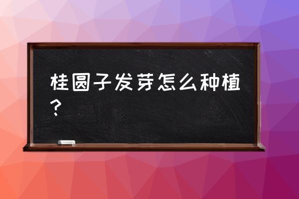 龙眼籽需要几天才能发芽 桂圆子发芽怎么种植？